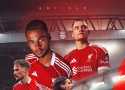 九游中国-关于利兹联客场大胜水晶宫，继续保持不败纪录的信息